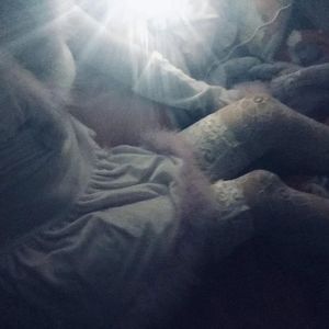 笔盒beatbox在线观看入口
