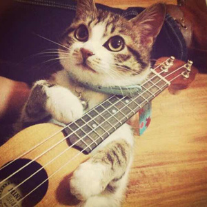 笔盒beatbox在线观看入口
